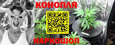крисы Донской