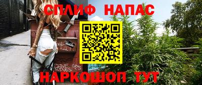 скорость Дубна