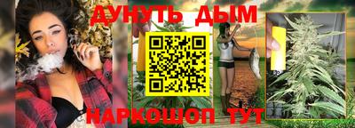 скорость Дубна