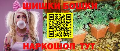 крисы Донской