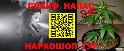 скорость Дубна