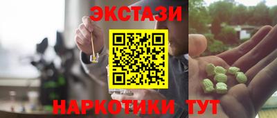крисы Донской