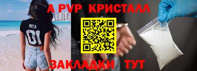 крисы Донской