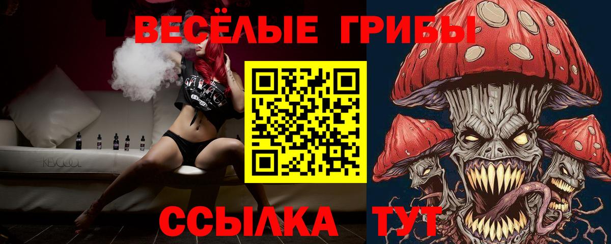 где продают   Псилоцибиновые грибы мицелий  Вход с VPN  Лысьва 